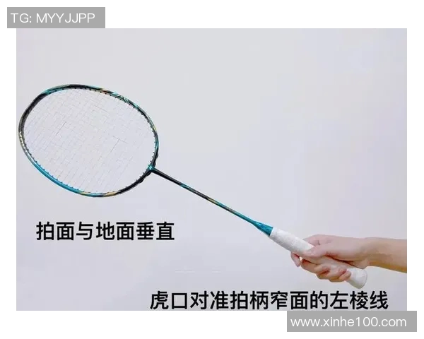 科学羽毛球技术训练方法探究与实用技巧分享 科学羽毛球技术训练方法探究与实用技巧分享