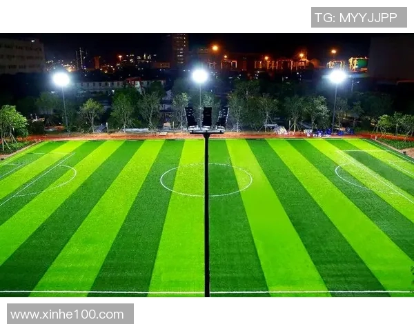 足球明星私宅揭秘：豪华足球场与家庭生活的完美结合