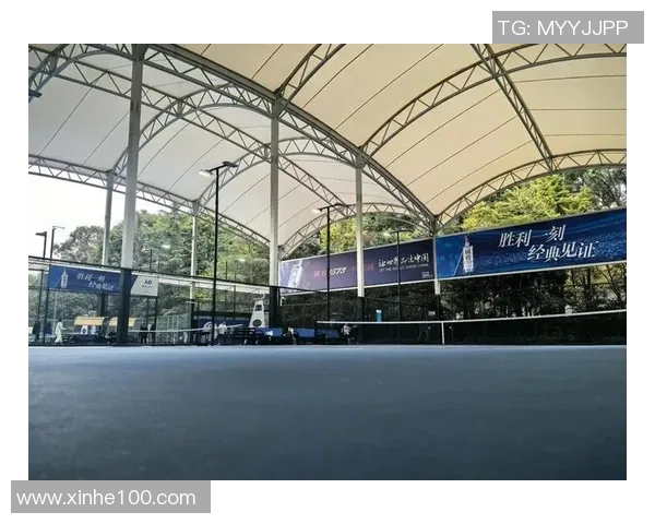 成都网球队协同进化探讨网球配合新模式与未来发展方向 成都网球队协同进化探讨网球配合新模式与未来发展方向