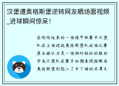 汉堡遭奥格斯堡逆转网友晒场面视频_进球瞬间惊呆！